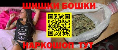 индика Бийск