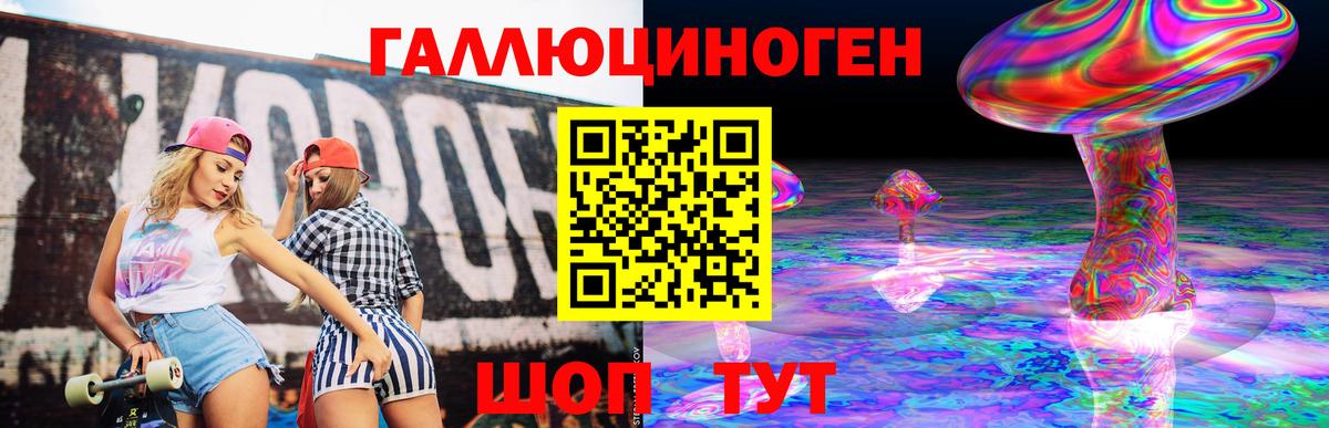 Галлюциногенные грибы Psilocybe Вятские Поляны